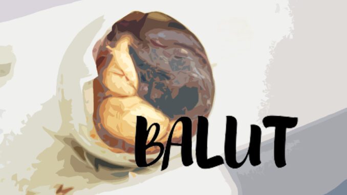 Balut, salt, vinegar, delicacy, Philippines