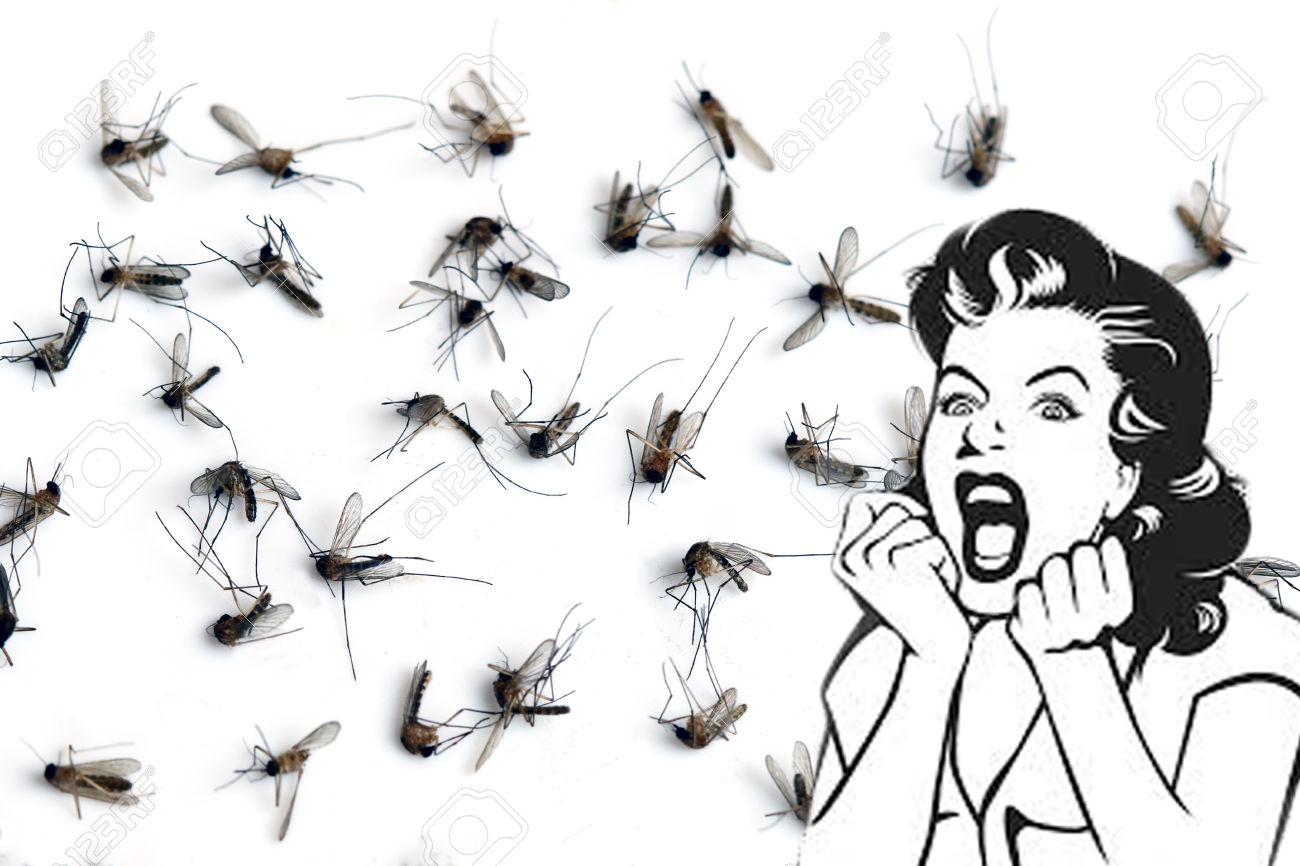 dengue fever Philippines mosquitoes