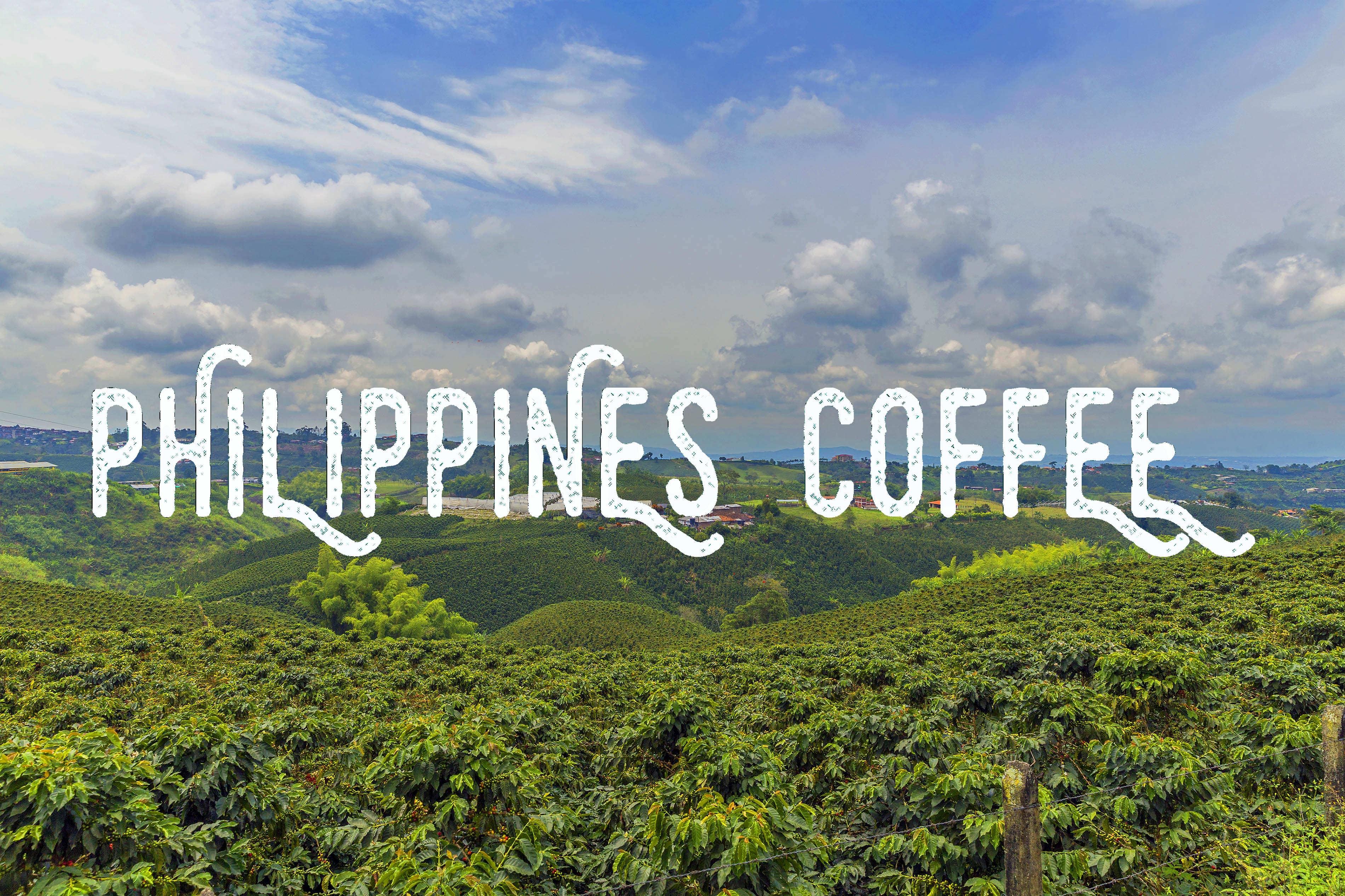 Coffee, philippines. batangas. kapeng, starbucks