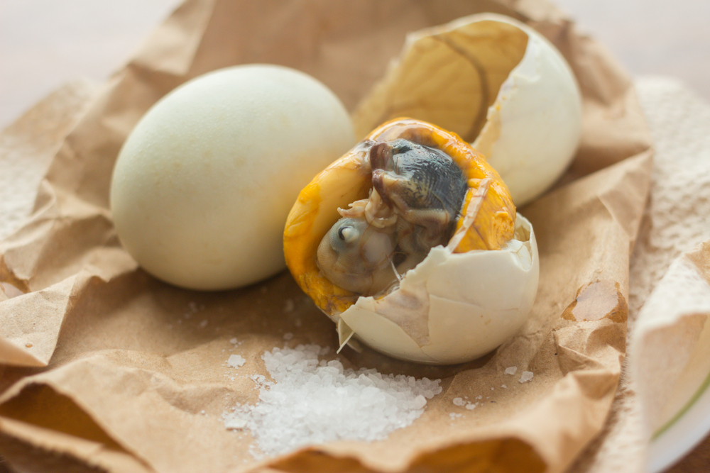 Balut, a filipino delicacy, a guide to its history and preparation