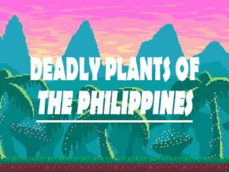 deadly-common-toxic-poisonous-philippines-plants