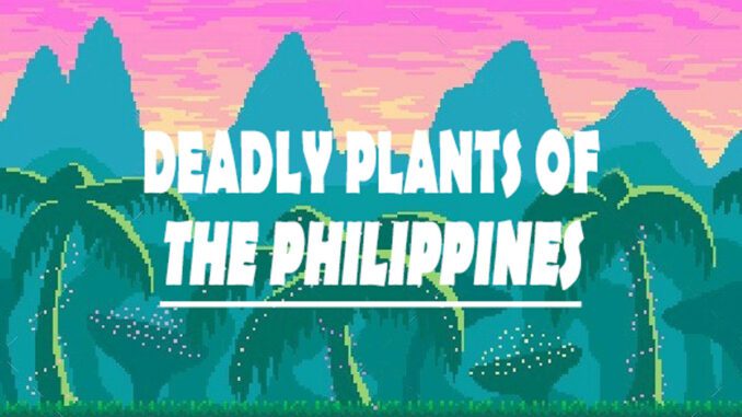 deadly-common-toxic-poisonous-philippines-plants