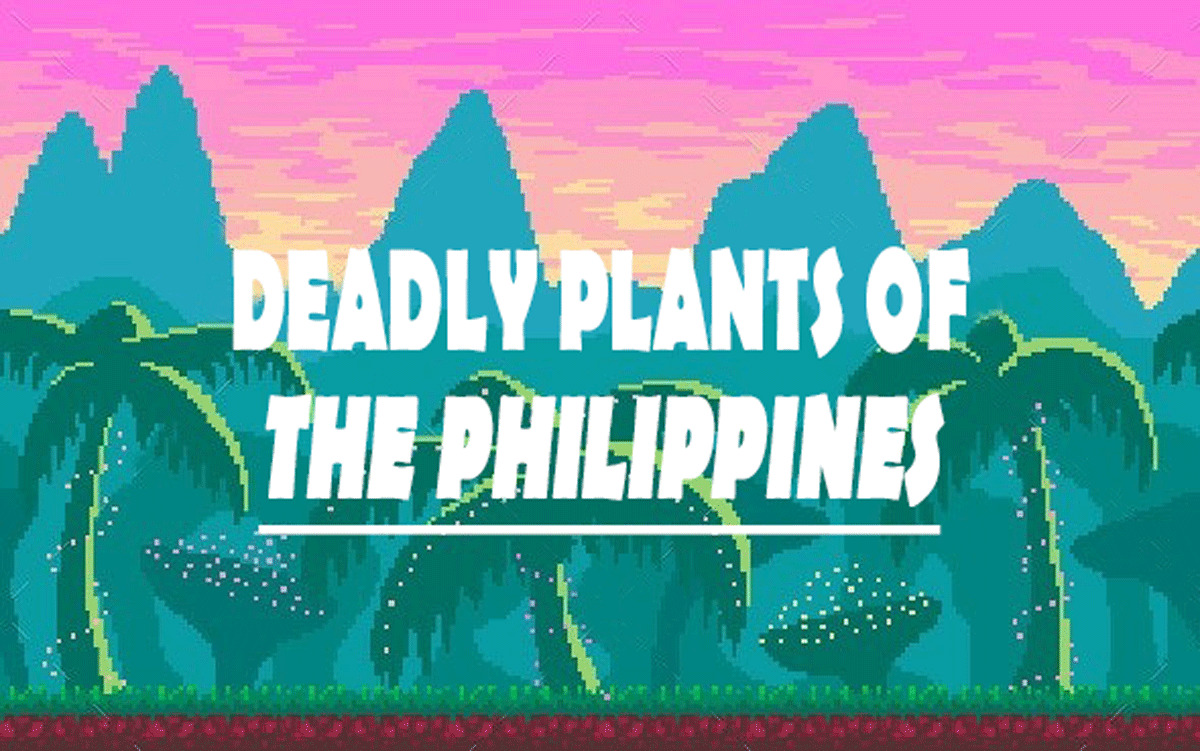 deadly-common-toxic-poisonous-philippines-plants